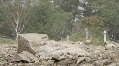 Slow motion footage of trail runner at Mount Daibosatsu in summer, Yamanashi Stock Footage 58467816