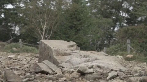 Slow motion footage of trail runner at Mount Daibosatsu in summer, Yamanashi Stock Footage 58467829