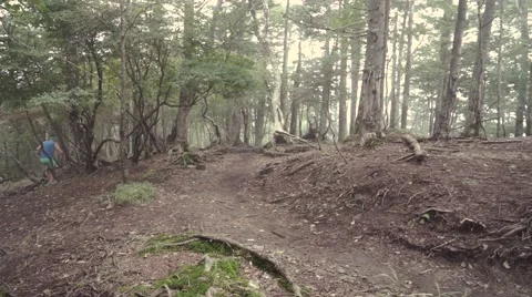 Slow motion footage of trail runner at Mount Daibosatsu in summer, Yamanashi Stock Footage 58467855