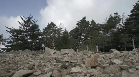 Slow motion footage of trail runner at Mount Daibosatsu in summer, Yamanashi Stock Footage 58467862