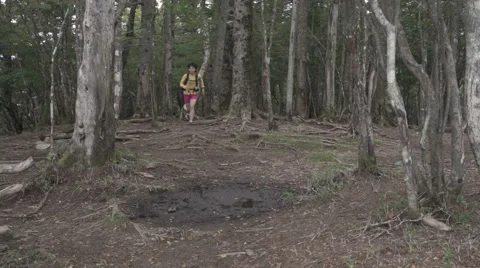 Slow motion footage of trail runner at Mount Daibosatsu in summer, Yamanashi Stock Footage 58467985