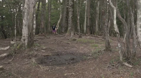 Slow motion footage of trail runner at Mount Daibosatsu in summer, Yamanashi Stock Footage 58467992