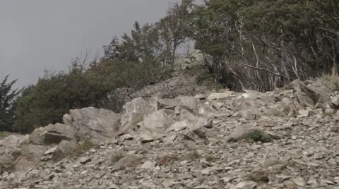 Slow motion footage of trail runner at Mount Daibosatsu in summer, Yamanashi Stock Footage 58468100
