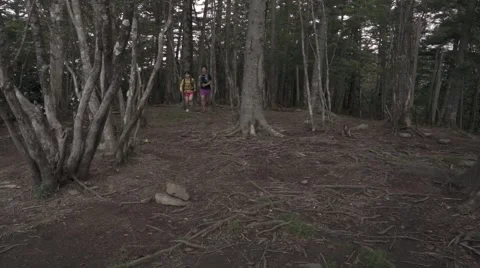 Slow motion footage of trail runners running at Mount Daibosatsu in summer, Stock Footage 58467892