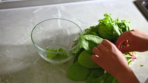 Slow motion footage video of preparing salad, tearing fresh spinach leaves and t Stock Footage 155993034