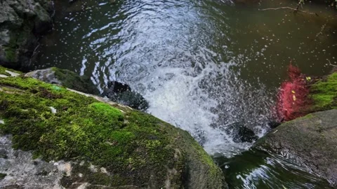 Slow Motion Footage of Waterfall in Rugged Mountain Gorge Today Vidéo 343538286