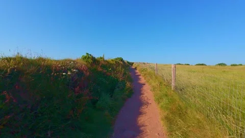 Slow motion footpath through grassy coastal field under clear blue sky Stock Footage 340453776