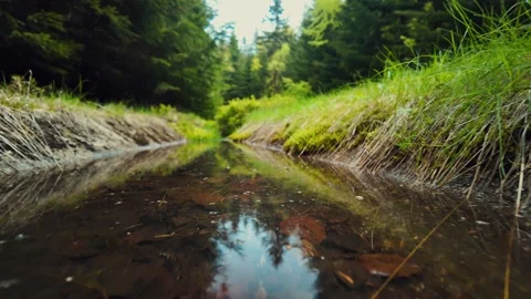 Slow Motion Forest Stream Flowing Water Video stock 308728095