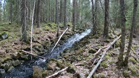 Slow Motion Forest Stream Flowing Through Rocky Woodland in Spring Finland Stock Footage 333768110
