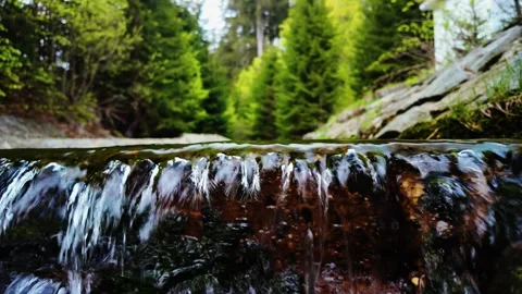 Slow Motion: Forest Stream Water Cascadi... | Stock Video | Pond5