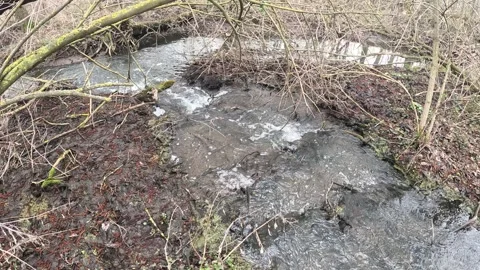 Slow motion forest stream water flowing over rocks Stock Footage 332866125