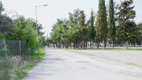 Slow motion of the forest with the trees and the road 動画素材 105039429