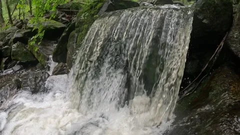 Slow Motion Forest Waterfall Cascading Over Moss Covered Rocks Stock Footage 340581185