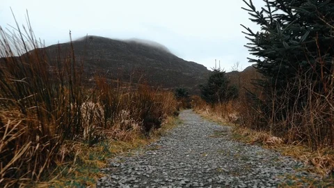 Slow motion forward movement toward misty mountain backdrop Stock Footage 106018519