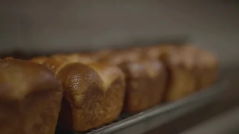 Slow motion forward tracking close-up of brioche chain Stock Footage 336366621