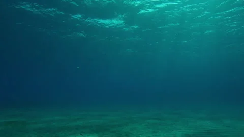 Underwater Light Ripple Stock Videos – Royalty-Free HD & 4K Videos | Page 3