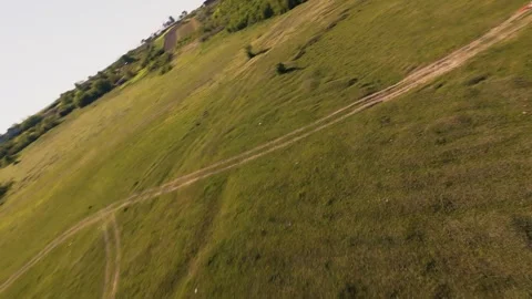 Slow motion FPV drone video of white stork flying over green fields Video stock 334174133
