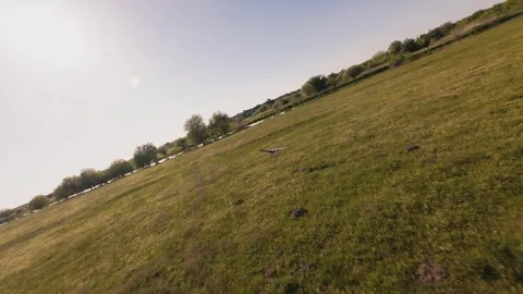 Slow motion FPV drone video of white stork flying over green fields Stock-Footage 334174395
