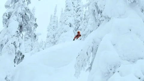Slow motion of freeride skier jumping from small hill in forest, Red Mountain Stock Footage 129095507