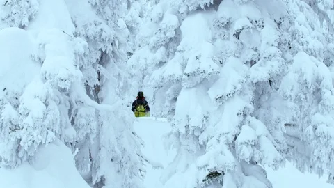 Slow motion of freeride skier jumping through snowy branches in forest, Canada Stock Footage 129095702