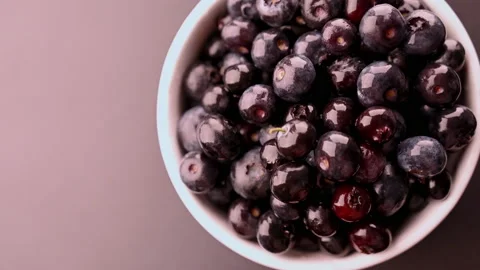 Slow motion of  fresh blueberries  in a white bowl Stock Footage 172420772
