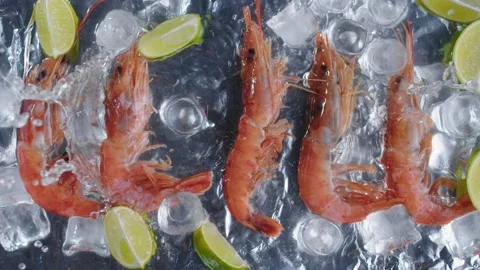 Slow motion fresh shrimp falling water with ice and lime slices. Stock Footage 148766086