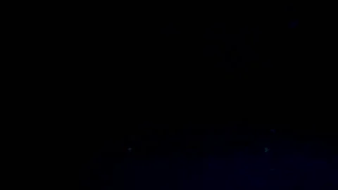 Slow motion of fresh tomatoes falling in water on a black Stock Footage 93294545