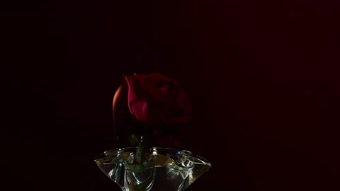 A Slow motion Full HD video of Flames pulsing over a rose Stock Footage 203020451