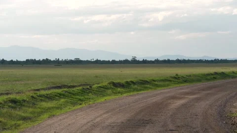Slow motion game drive Stock Footage 136129453