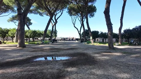 Slow Motion Garden View Of Orange Trees At Giardino Degli Aranci Rome 動画素材 331541070