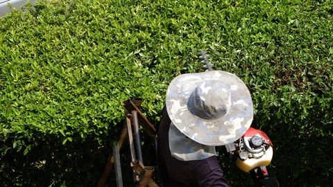 Slow motion, gardener using saw mower cutting shrub decorate backyard green g Stock Footage 114049577