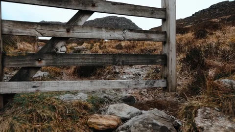 Slow motion gate opening on nature walk Stock Footage 106018241