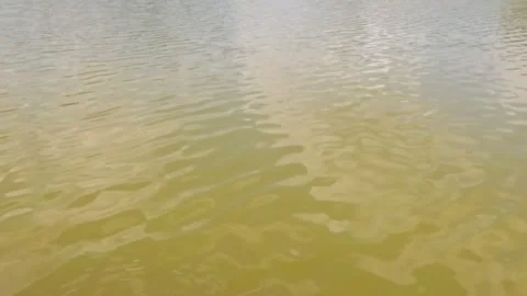 Slow motion of gentle ripples on the surface of a calm lake Stock Footage 323149108