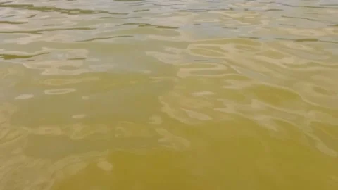 Slow motion of gentle ripples on the surface of a calm lake Stock Footage 323149126