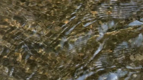 Slow motion of gently flowing clear water ripples Stock Footage 292229017