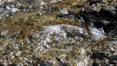 Slow motion of gently flowing clear water ripples. 動画素材 292229274