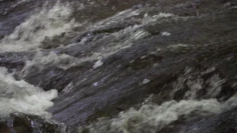 Slow Motion of Gently Flowing Forest Stream 動画素材 311668622