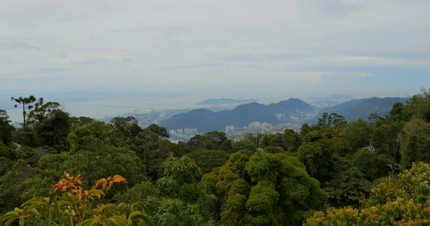 Slow motion gimbal through the jungles of Penang Hill in Penang, Malaysia. Stock Footage 115065442