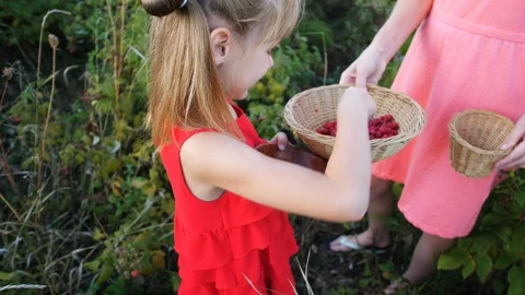 Slow motion girl eats ripe red juicy raspberry in the garden Stock Footage 115514972