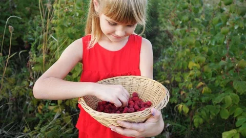 Slow motion girl eats ripe red juicy raspberry in the garden Stock Footage 115515239