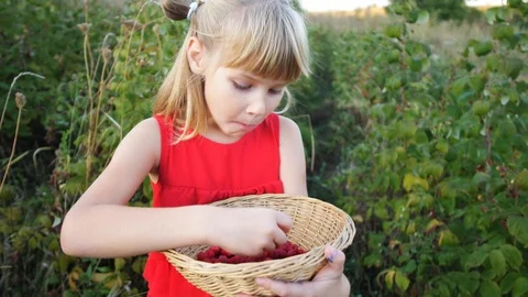 Slow motion girl eats ripe red juicy raspberry in the garden Stock Footage 115515337