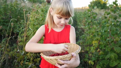Slow motion girl eats ripe red juicy raspberry in the garden Stock Footage 115515413