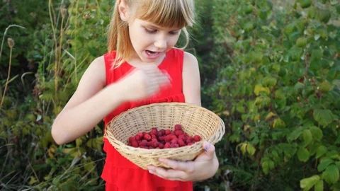 Slow motion girl eats ripe red juicy raspberry in the garden Stock Footage 115515550