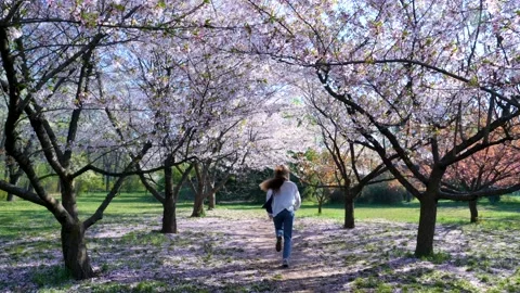 Slow motion girl running throug blossoms sakura tree in spring garden in bloom Stock-Footage 152894953