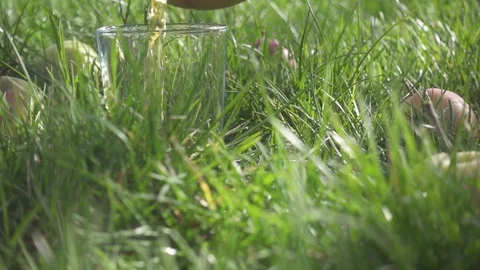 Slow motion in the glass on the grass pours the juice Stock Footage 88217346