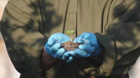 Slow motion gloved hands holding a petri dish with a green small sprout Video stock 258030465