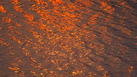 Slow motion golden background slow motion wave of light sunset on surface water  Stock-Footage 127404470