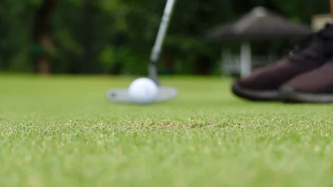 Slow motion of Golf Ball Falls Into The Hole Close Up Stock Footage 113512829