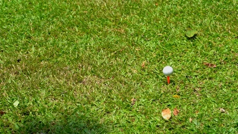 Slow motion golfer hitting swing golf ball on fairway in golf course Vídeos de archivo 106857573