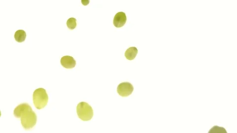 Slow motion – grapes rolling towards camera – vers.01/04 Vídeo Stock 80010264